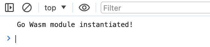Screenshot of Go Wasm module output in browser console